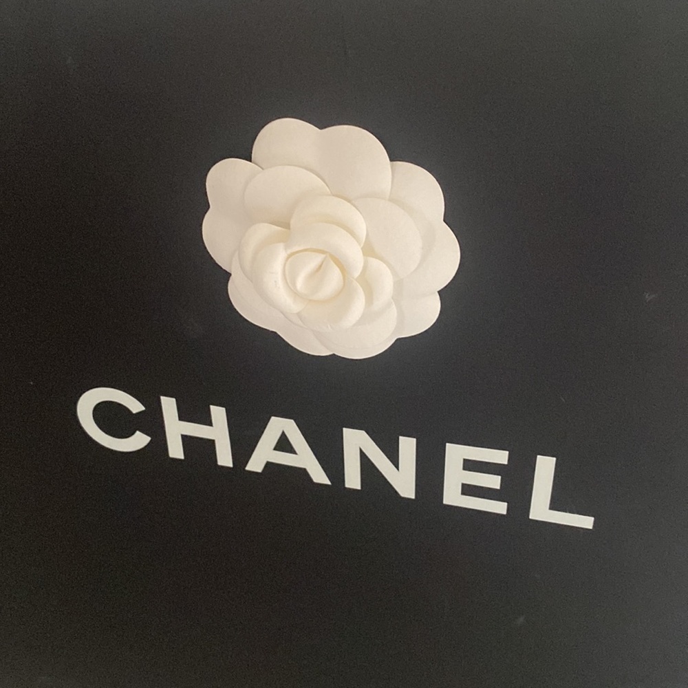 Chanel paper bag empty - Picture 3 of 12